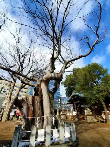 阿邪訶根神社の庭園