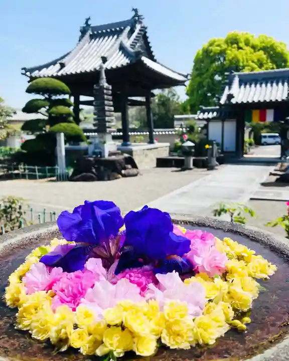 真言宗 善通寺派 薬王寺(香川県)