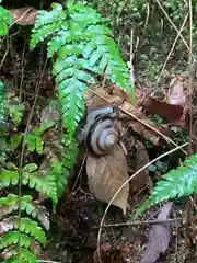 等彌神社(奈良県)