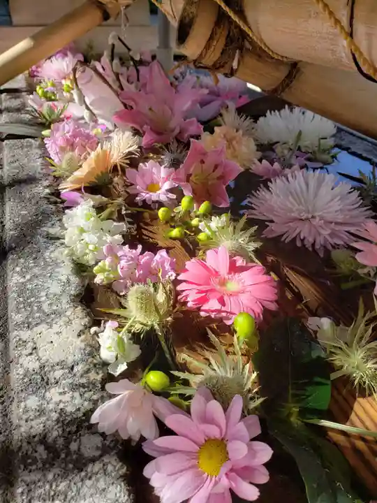 鳩森八幡神社(東京都)