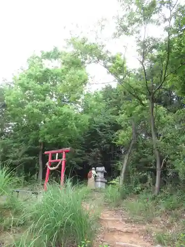 賀茂別雷神社(栃木県)