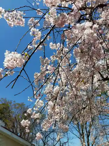 久留米水天宮の自然