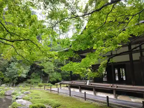南禅院(京都府)