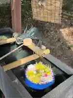 下野 星宮神社(栃木県)