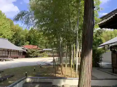 八事山 興正寺のその他建物