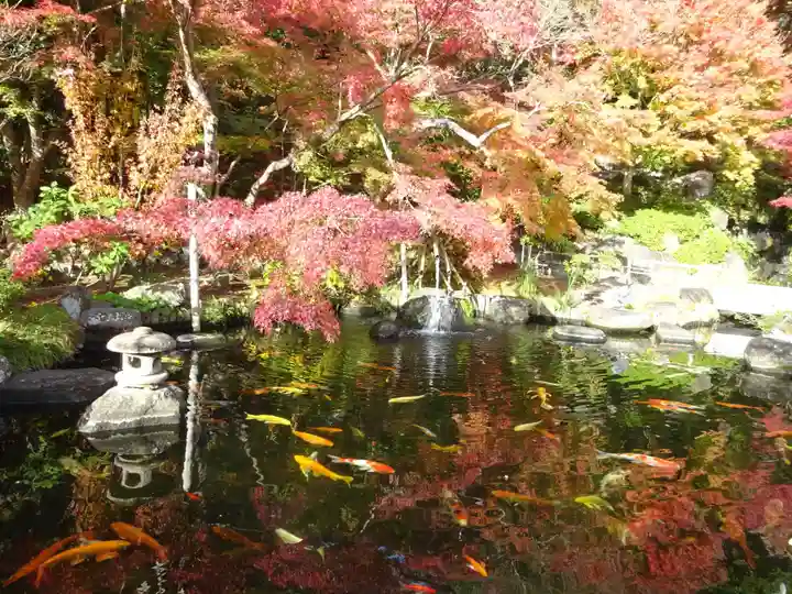 長谷寺(神奈川県)