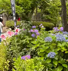 白山神社(東京都)