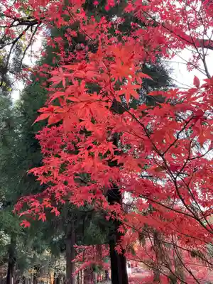 石道寺(滋賀県)