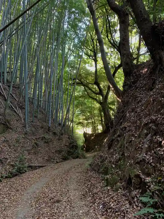 八幡神社の周辺