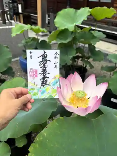 上行寺の御朱印