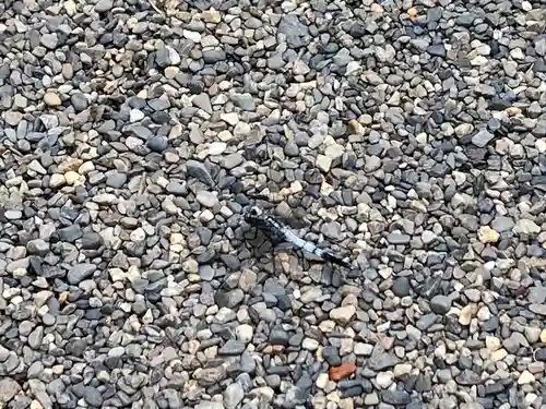 弘長寺(長野県)