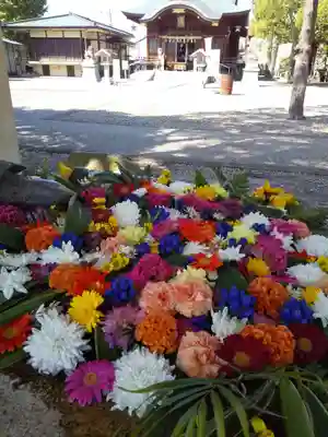 杉杜白髭神社の手水舎
