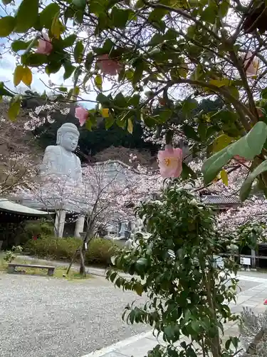 南法華寺（壷阪寺）の仏像