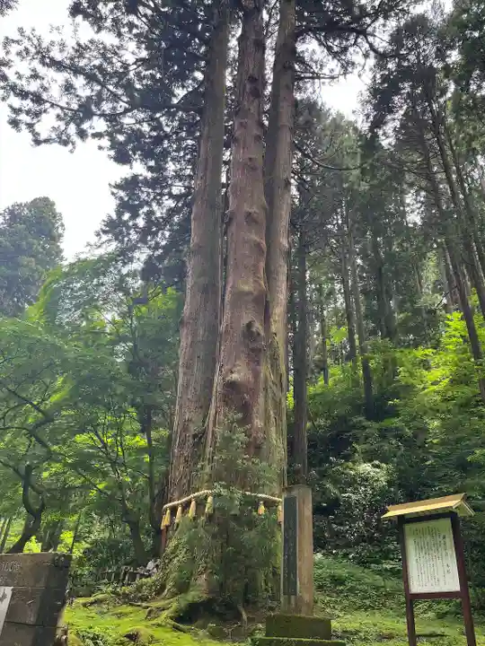 御岩神社の自然