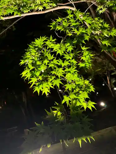 北野天満宮(京都府)