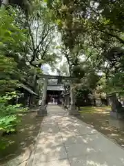 赤坂氷川神社の鳥居