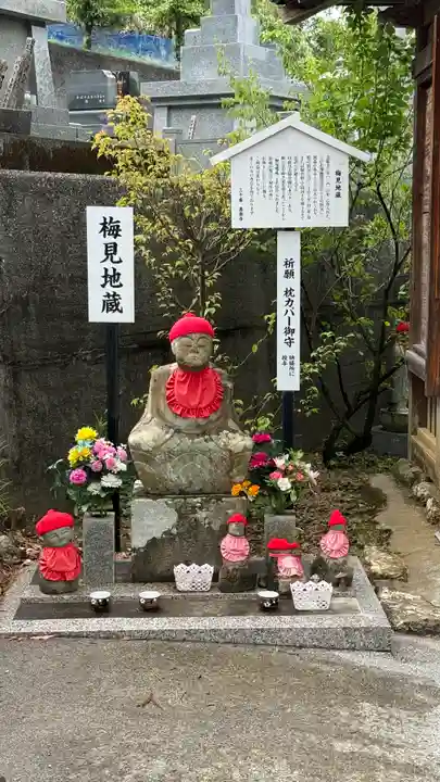 善楽寺(高知県)