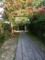 安楽寺の御朱印