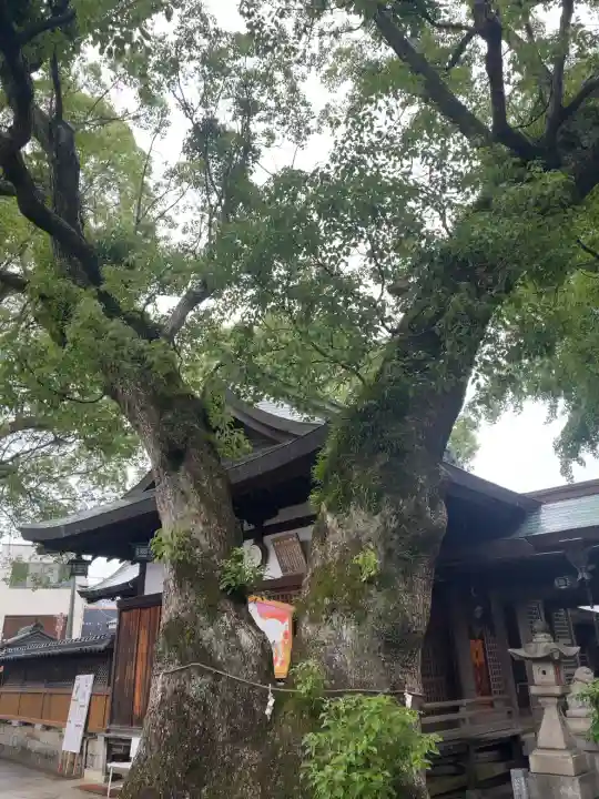 蟻通神社(和歌山県)