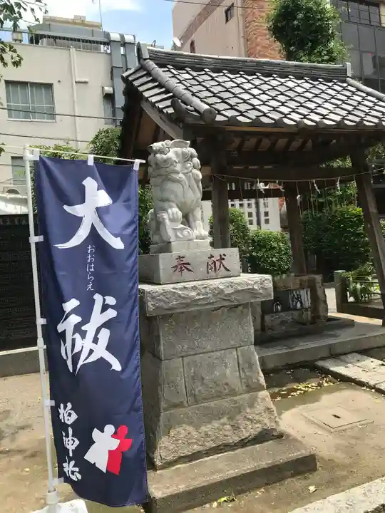 柏神社の狛犬