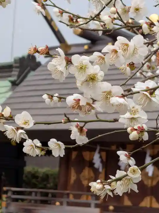 成子天神社(東京都)