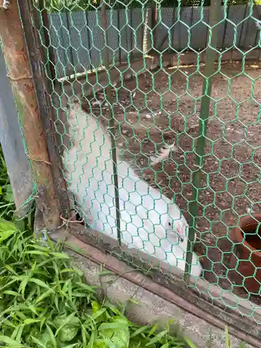 進雄神社(群馬県)