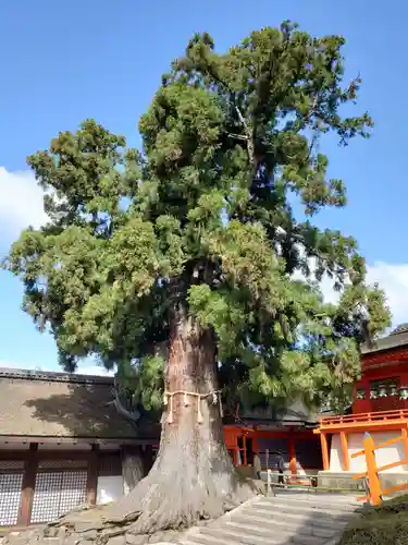 春日大社の自然