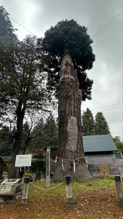 豊龍神社(山形県)