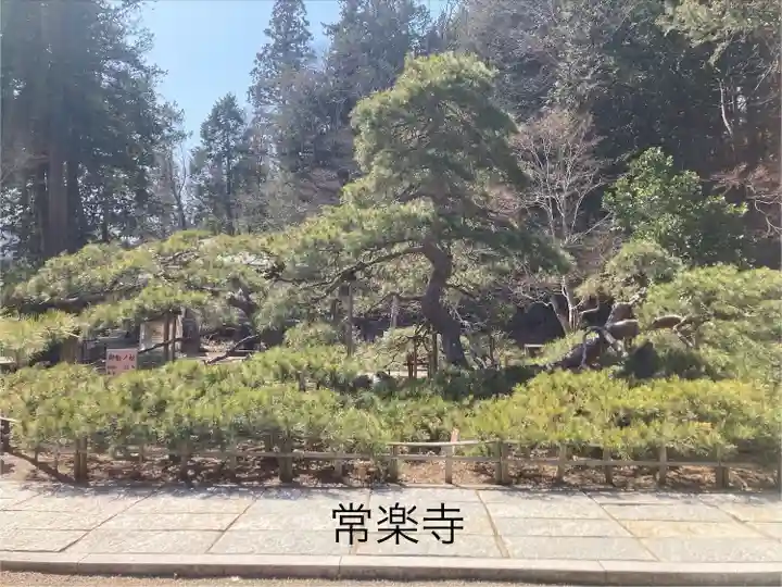 常楽寺(長野県)