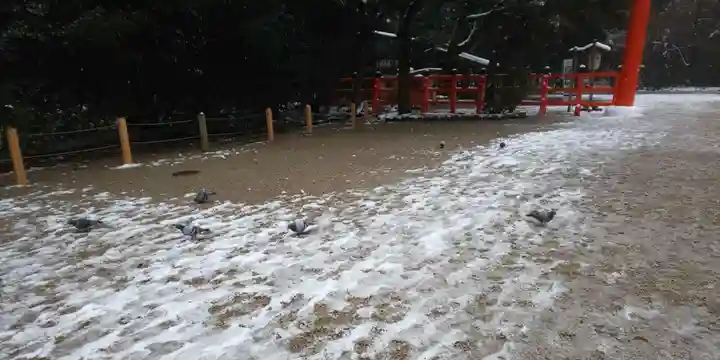 賀茂御祖神社(下鴨神社)(京都府)