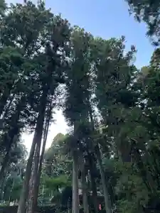 大宮温泉神社(栃木県)(2023年10月17日(火) 07時58分42秒投稿)