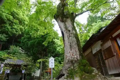 葛城一言主神社のその他建物