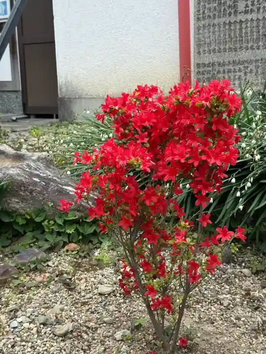崇道天皇社の{uncategorized: "未分類", other: "その他", undefined: "問題あり", building: "その他建物", grave: "お墓", sacred_gate: "鳥居", guardian: "狛犬", statue: "像", buddha: "仏像", history: "歴史", nature: "自然", garden: "庭園", animal: "動物", pagoda: "塔", temizu: "手水舎", mountain_gate: "山門・神門", sanctuary: "本殿・本堂", subordinate: "末社・摂社", art: "芸術", scenery: "景色", jizo: "地蔵", ema: "絵馬", goshuin: "御朱印", omikuji: "おみくじ", items: "授与品その他", amulet: "お守り", goshuincho: "御朱印帳", eats: "食事", festival: "お祭り", votive_dance: "神楽", shichigosan: "七五三参", wedding: "結婚式", experience: "体験その他", initially: "初詣", around: "周辺", anti_infection: "感染症対策"}