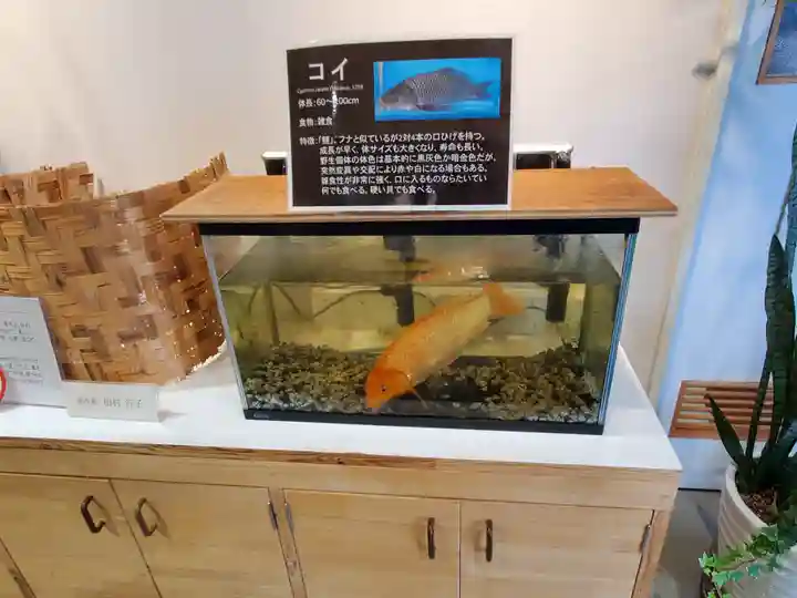 東光院(栃木県)