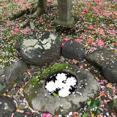 霊鑑寺門跡のその他建物