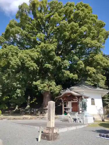 一乗寺のその他建物