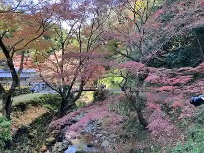 鰐淵寺(島根県)