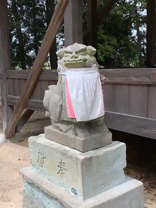 大歳神社の狛犬