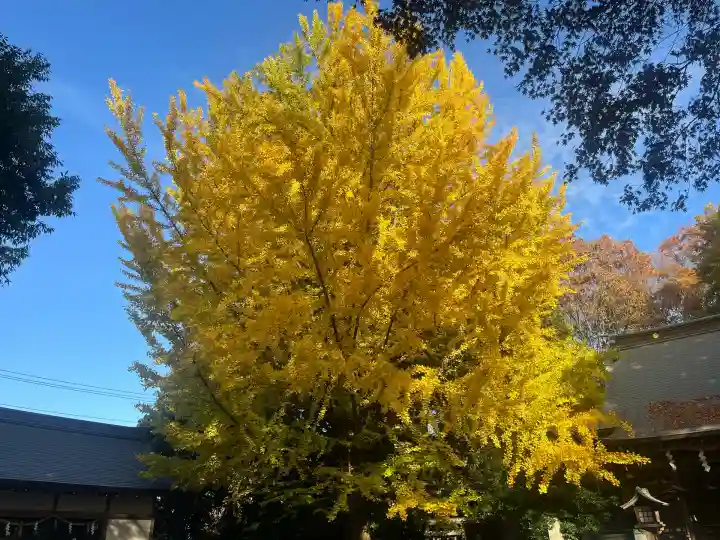 小平神明宮(東京都)