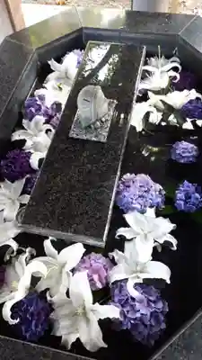 新琴似神社の手水舎