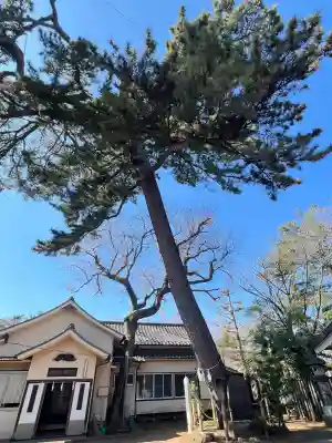 熊野神社の{uncategorized: "未分類", other: "その他", undefined: "問題あり", building: "その他建物", grave: "お墓", sacred_gate: "鳥居", guardian: "狛犬", statue: "像", buddha: "仏像", history: "歴史", nature: "自然", garden: "庭園", animal: "動物", pagoda: "塔", temizu: "手水舎", mountain_gate: "山門・神門", sanctuary: "本殿・本堂", subordinate: "末社・摂社", art: "芸術", scenery: "景色", jizo: "地蔵", ema: "絵馬", goshuin: "御朱印", omikuji: "おみくじ", items: "授与品その他", amulet: "お守り", goshuincho: "御朱印帳", eats: "食事", festival: "お祭り", votive_dance: "神楽", shichigosan: "七五三参", wedding: "結婚式", experience: "体験その他", initially: "初詣", around: "周辺", anti_infection: "感染症対策"}