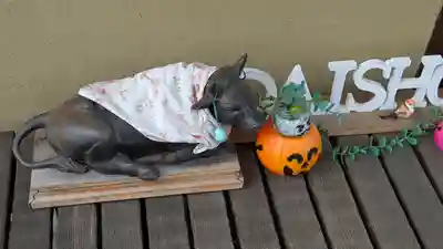 大松禅寺(京都府)