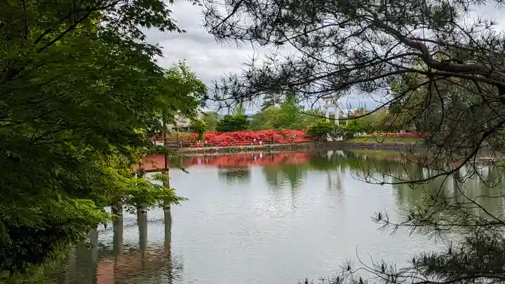 長岡天満宮(京都府)