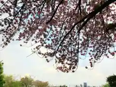 東光寺の自然