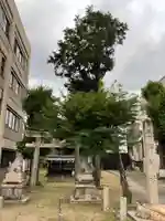 熊野社(犬山熊野神社)(愛知県)