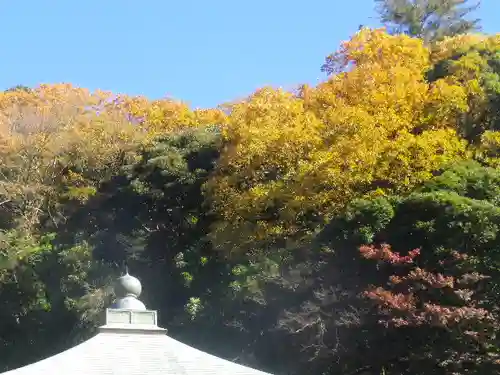 瑞泉寺のその他建物