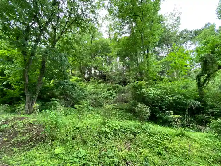 九頭竜神社(静岡県)