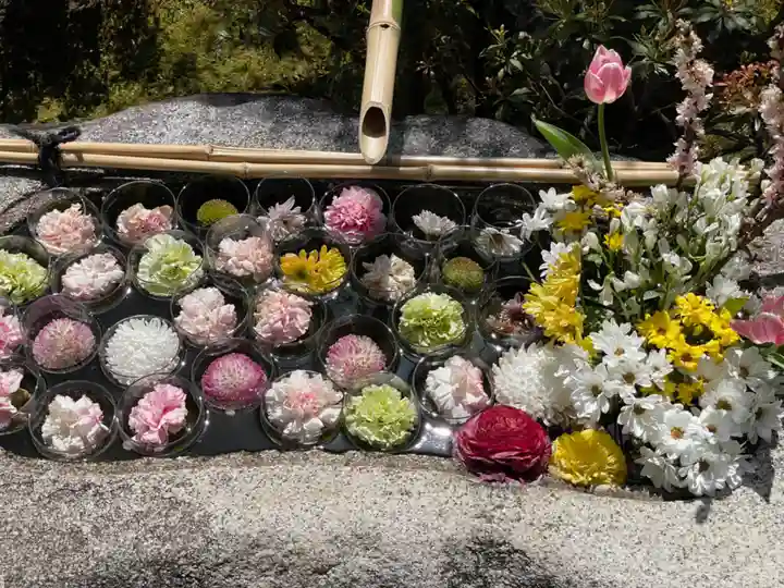 妙顯寺(妙顕寺)の手水舎