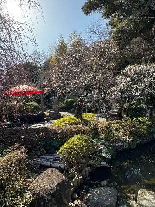 長谷寺の{uncategorized: "未分類", other: "その他", undefined: "問題あり", building: "その他建物", grave: "お墓", sacred_gate: "鳥居", guardian: "狛犬", statue: "像", buddha: "仏像", history: "歴史", nature: "自然", garden: "庭園", animal: "動物", pagoda: "塔", temizu: "手水舎", mountain_gate: "山門・神門", sanctuary: "本殿・本堂", subordinate: "末社・摂社", art: "芸術", scenery: "景色", jizo: "地蔵", ema: "絵馬", goshuin: "御朱印", omikuji: "おみくじ", items: "授与品その他", amulet: "お守り", goshuincho: "御朱印帳", eats: "食事", festival: "お祭り", votive_dance: "神楽", shichigosan: "七五三参", wedding: "結婚式", experience: "体験その他", initially: "初詣", around: "周辺", anti_infection: "感染症対策"}