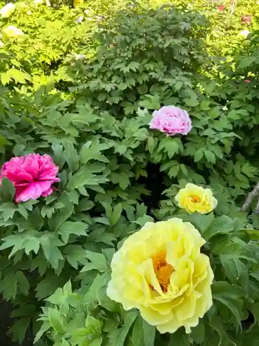 少林寺(埼玉県)